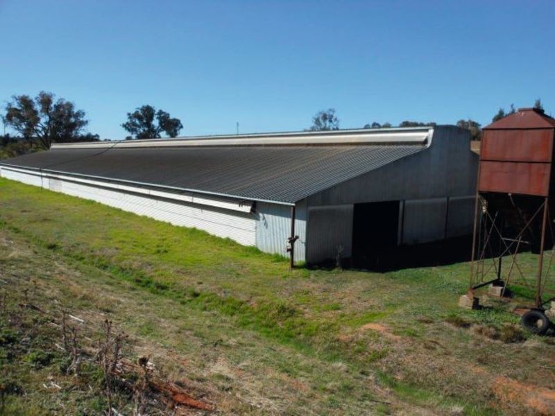 30 Tipperary Lane, Young NSW 2594