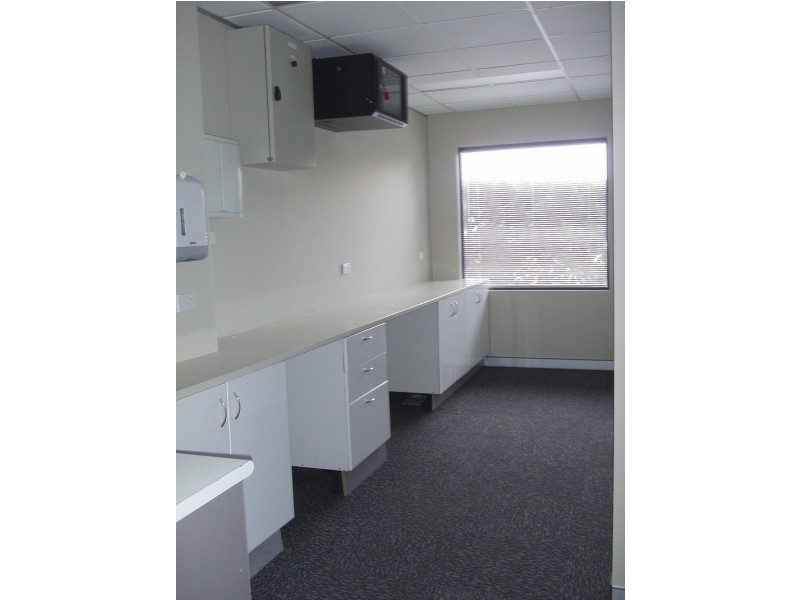 Suite 4, Bldg 7/49 Frenchs Forest Road, Frenchs Forest NSW 2086