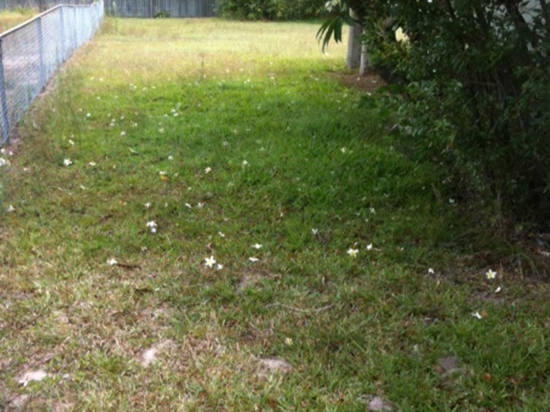 14 Araluen st, Kedron QLD 4031