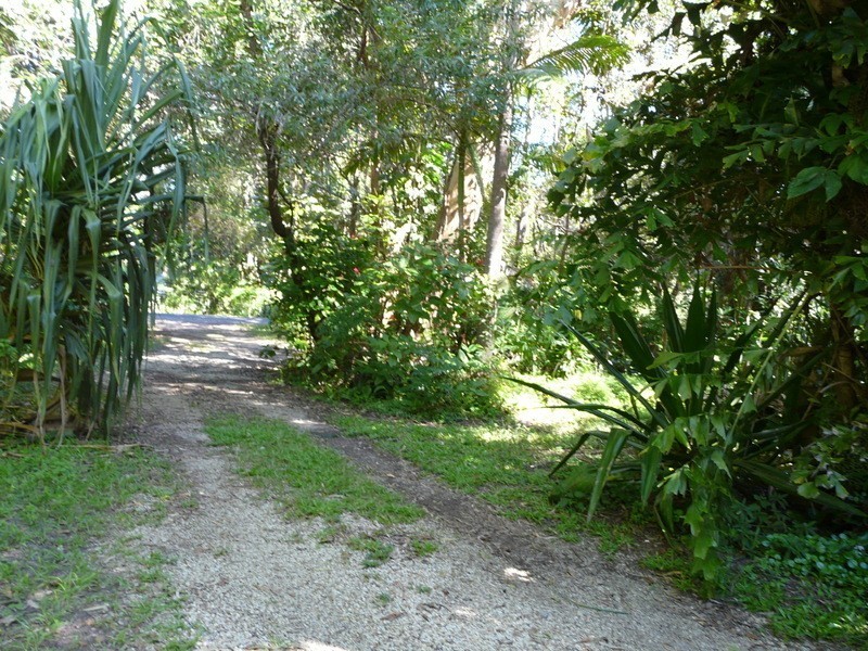 66 River Street, New Brighton NSW 2483