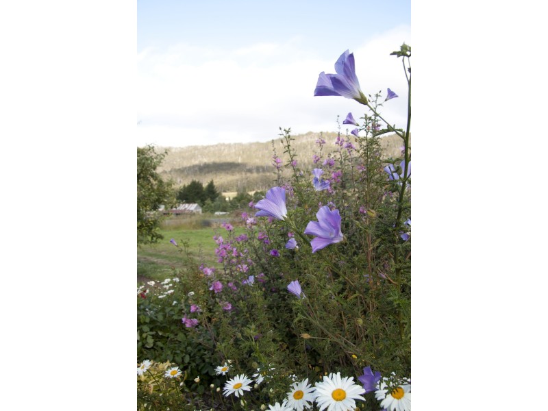 18 Cliffview Drive, Allens Rivulet TAS 7150