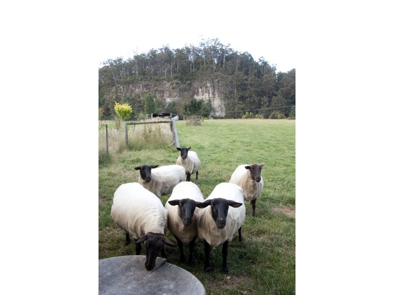 18 Cliffview Drive, Allens Rivulet TAS 7150