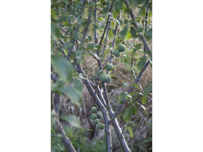 18 Cliffview Drive, Allens Rivulet TAS 7150