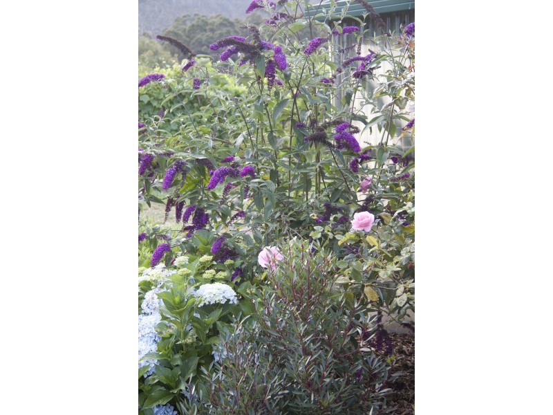 18 Cliffview Drive, Allens Rivulet TAS 7150