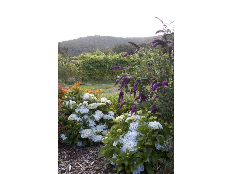 18 Cliffview Drive, Allens Rivulet TAS 7150