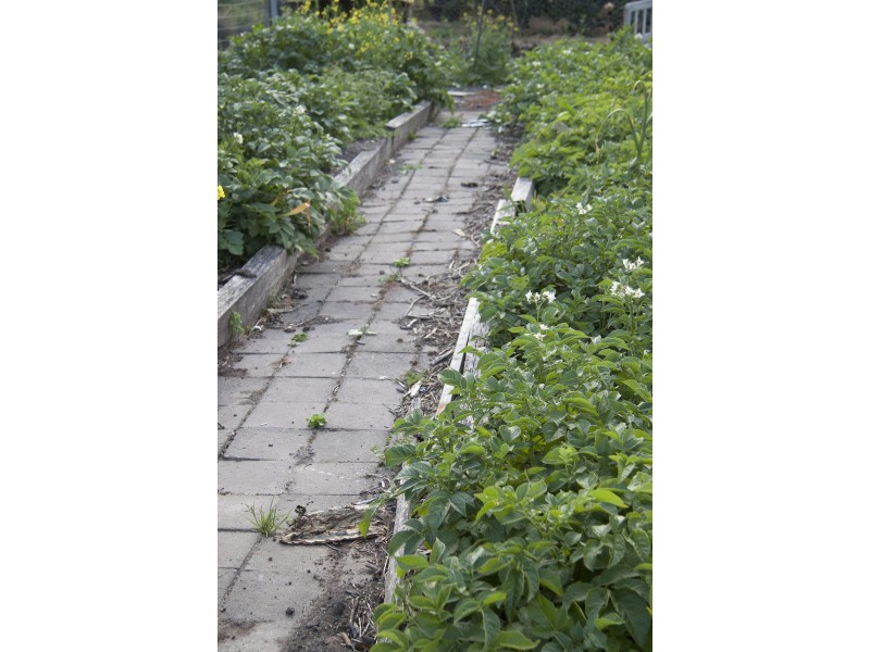 18 Cliffview Drive, Allens Rivulet TAS 7150