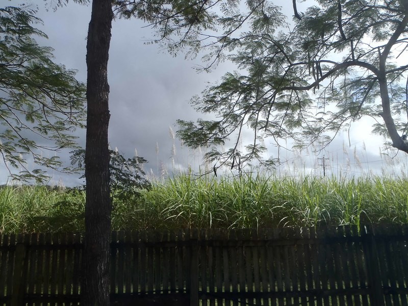 3197 Bruce Highway, Kuttabul QLD 4741