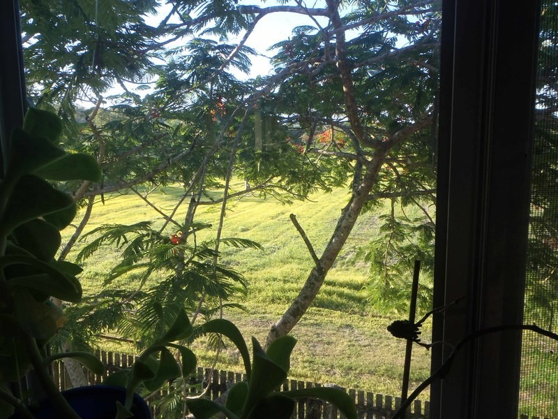 3197 Bruce Highway, Kuttabul QLD 4741