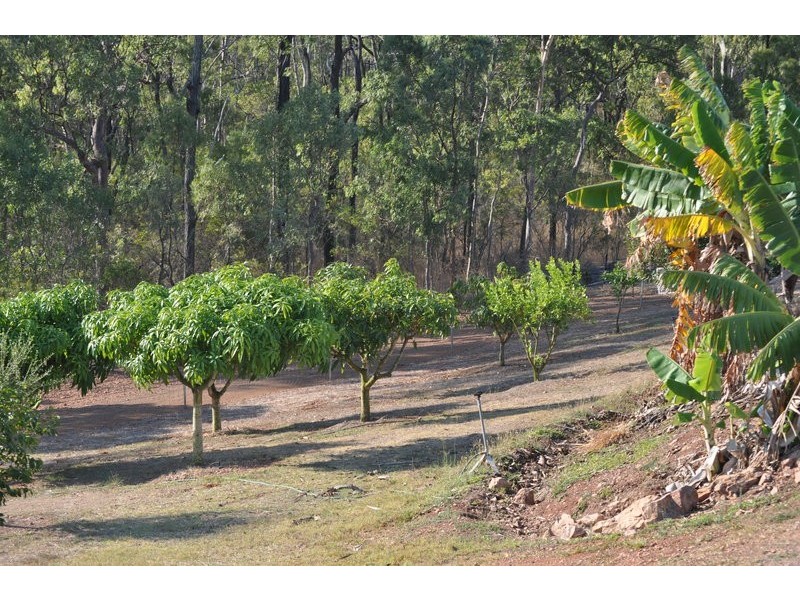 66 Luana Cresent, Burua QLD 4680