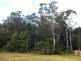 41 Catamaran Circuit, Trinity Beach QLD 4879