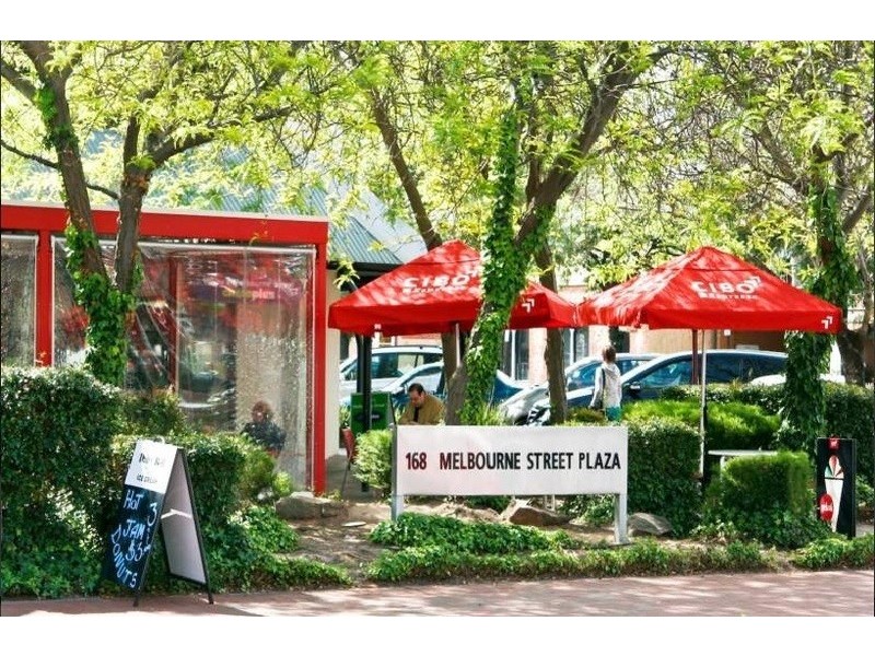 246 Melbourne Street, North Adelaide SA 5006