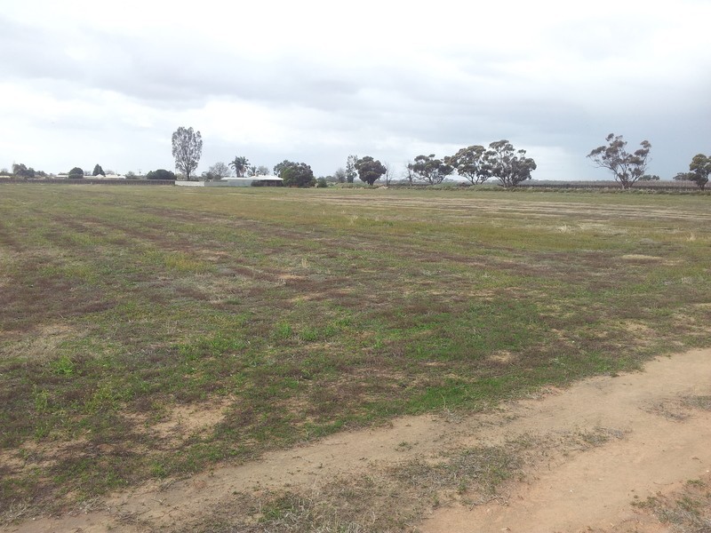 Lot 11 Goolwa Street, Renmark North SA 5341