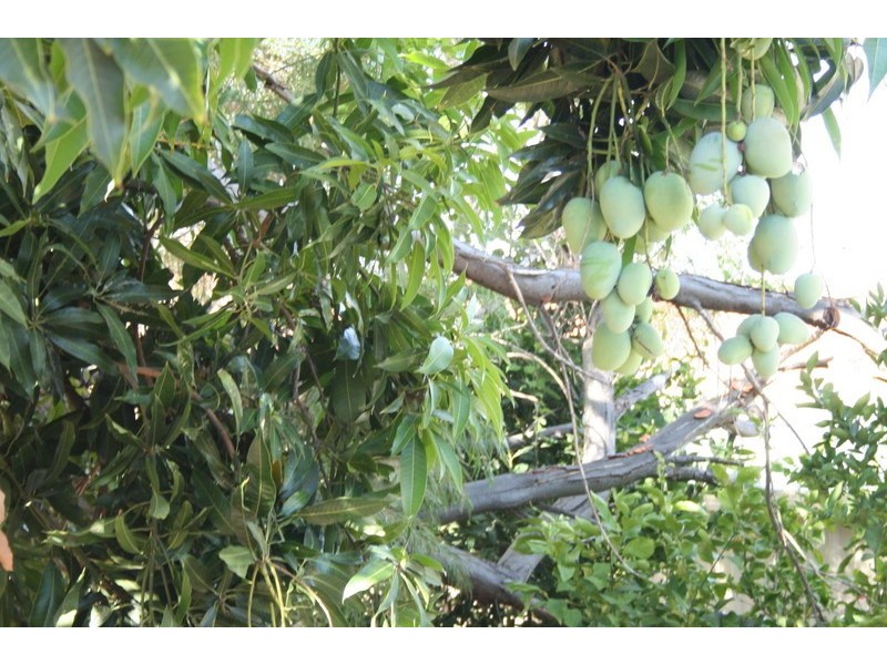 32 Blanchard Rd, Swan View WA 6056