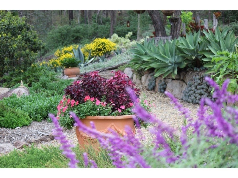 4 Bunya Lake Court, Bunya QLD 4055