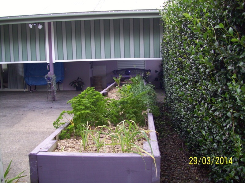 1  Oriole Close, Maleny QLD 4552