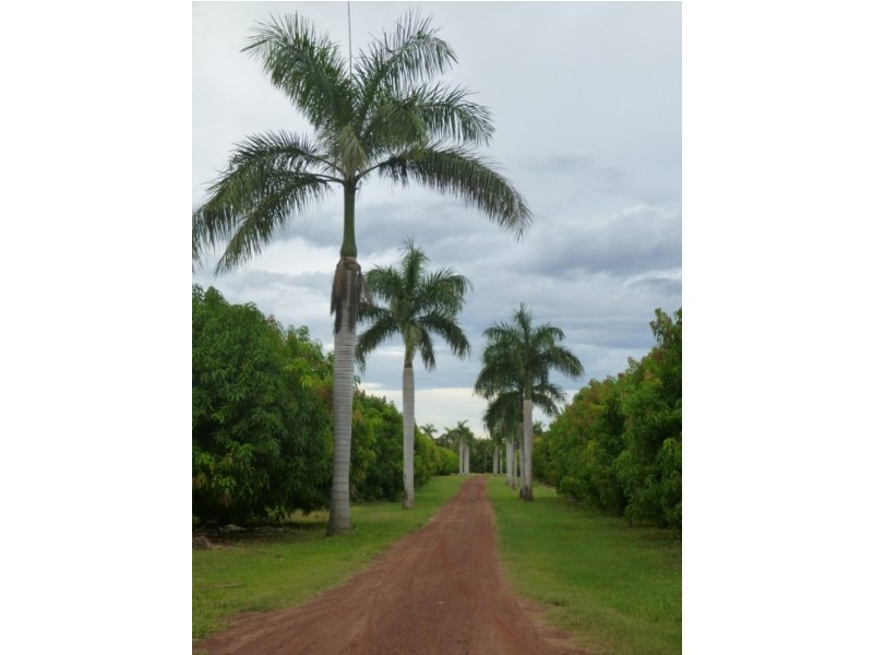 Lot 216 Riverfarm Road, Kununurra WA 6743