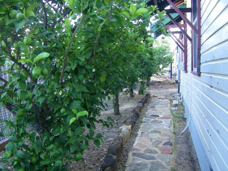 13 Stickland St, Wongan Hills WA 6603