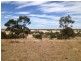 Lot 48 Wedderburn-Dunolly Road, Mcintyre VIC 3472