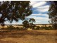 Lot 48 Wedderburn-Dunolly Road, Mcintyre VIC 3472