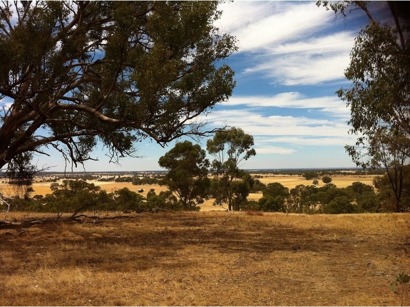 Lot 48 Wedderburn-Dunolly Road, Mcintyre VIC 3472