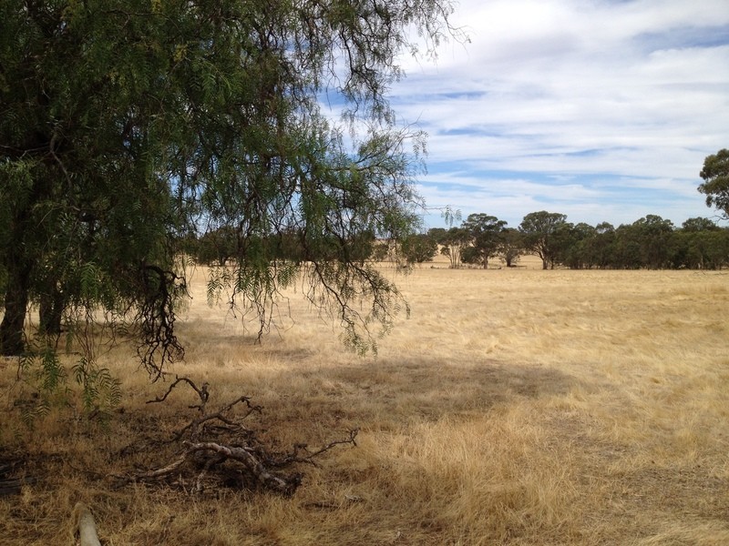 Lot 47 Wedderburn-Dunolly Road, Mcintyre VIC 3472