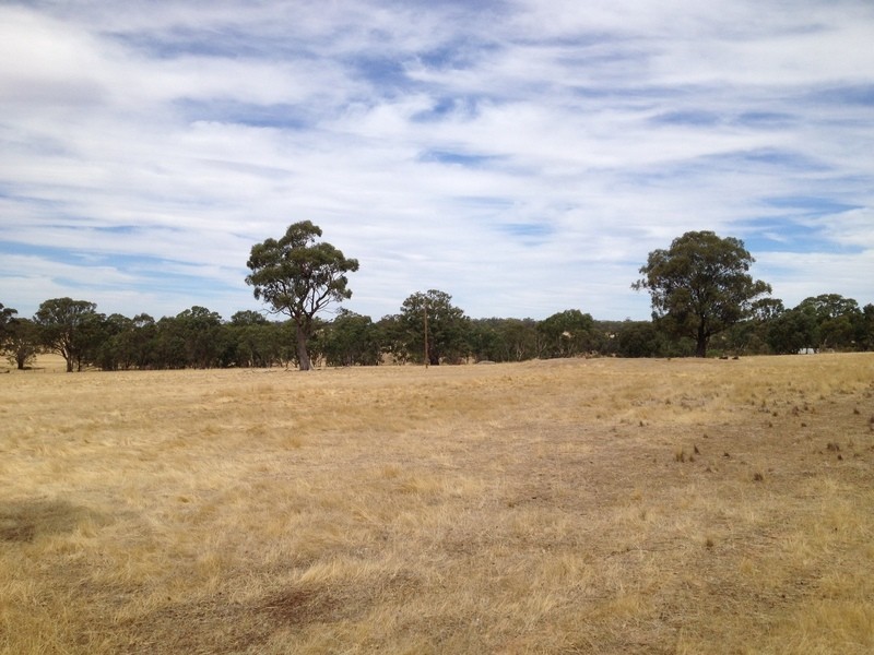 Lot 47 Wedderburn-Dunolly Road, Mcintyre VIC 3472