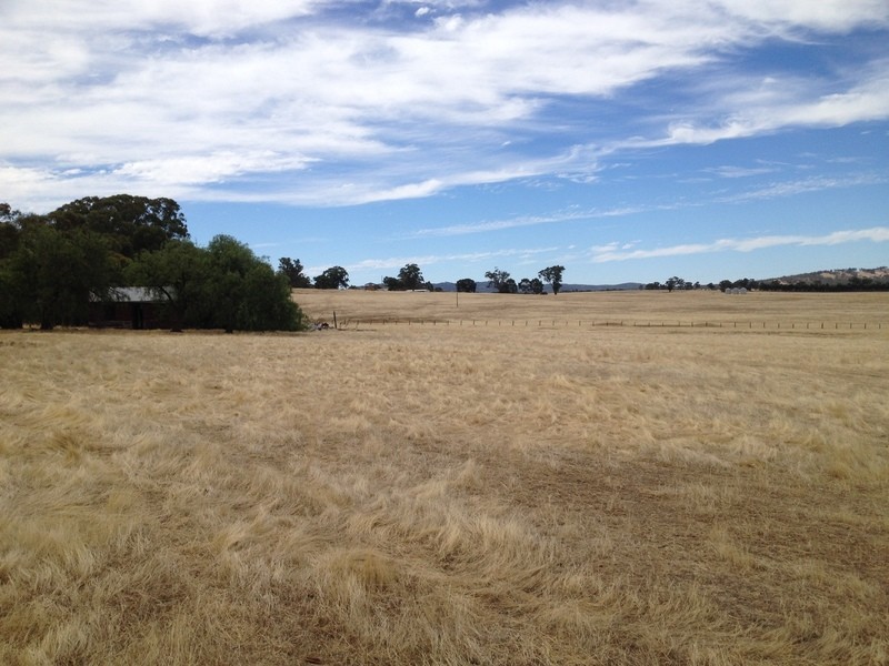 Lot 47 Wedderburn-Dunolly Road, Mcintyre VIC 3472