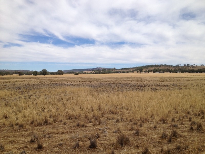 Lot 43D Wedderburn-Dunolly Road, Mcintyre VIC 3472