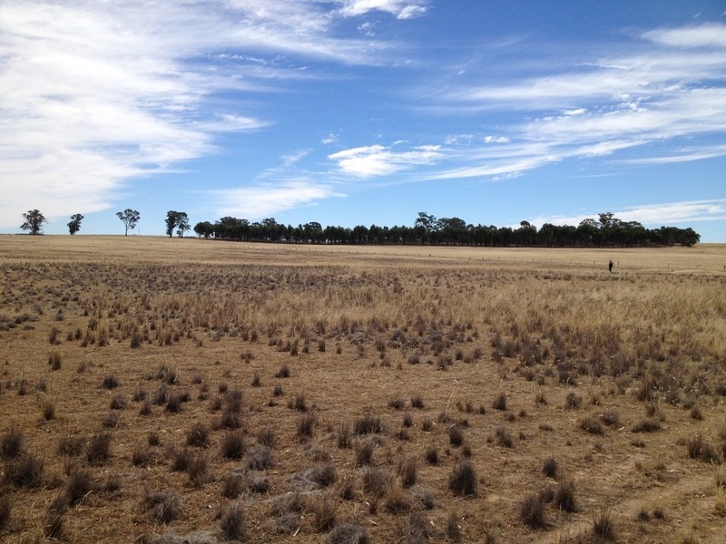Lot 43D Wedderburn-Dunolly Road, Mcintyre VIC 3472