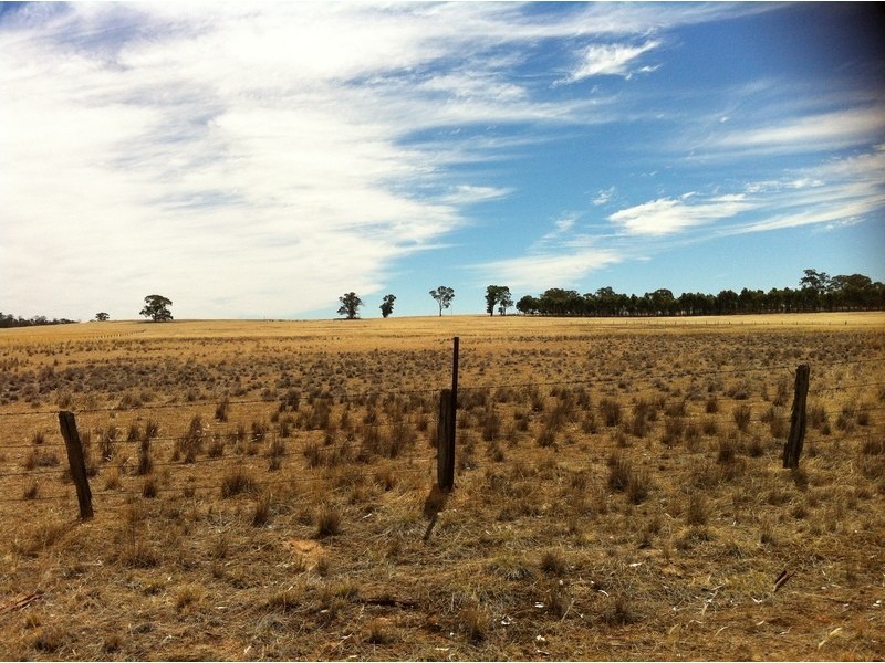 Lot 43D Wedderburn-Dunolly Road, Mcintyre VIC 3472