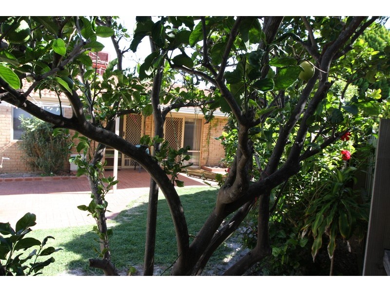 15C Mellows Place, Padbury WA 6025