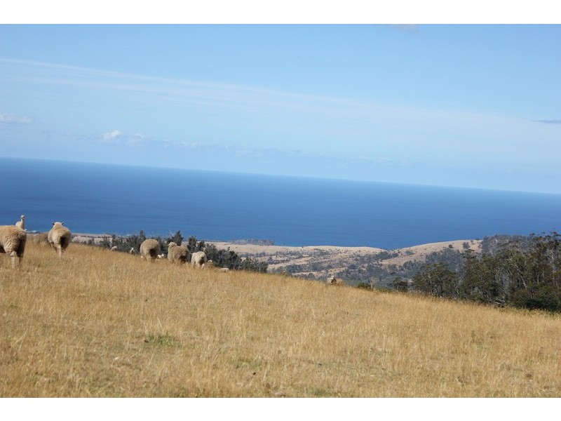 686 Germantown Road, St Marys TAS 7215