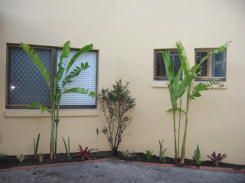 2/31 Pangarinda Place, Mooloolaba QLD 4557