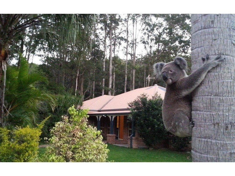 12 BREYNIA CT, Elanora QLD 4221