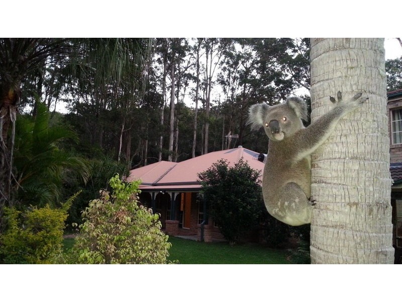 12 BREYNIA CT, Elanora QLD 4221