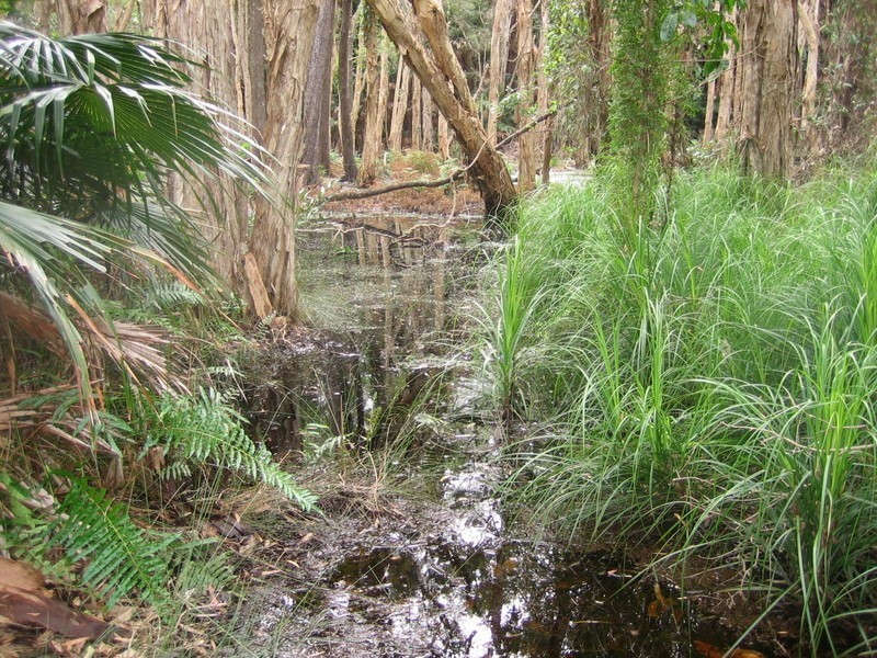 Lot 22/5306 Couran Cove Resort, South Stradbroke QLD 4216