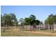 151 Nine Mile Road, Alton Downs QLD 4702