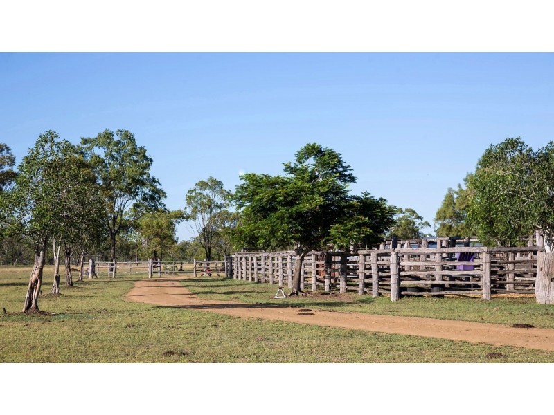 151 Nine Mile Road, Alton Downs QLD 4702