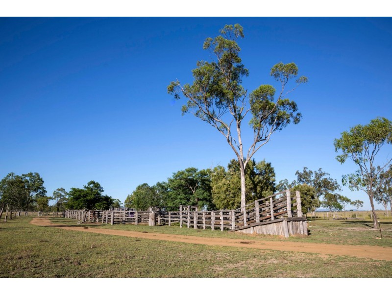 151 Nine Mile Road, Alton Downs QLD 4702