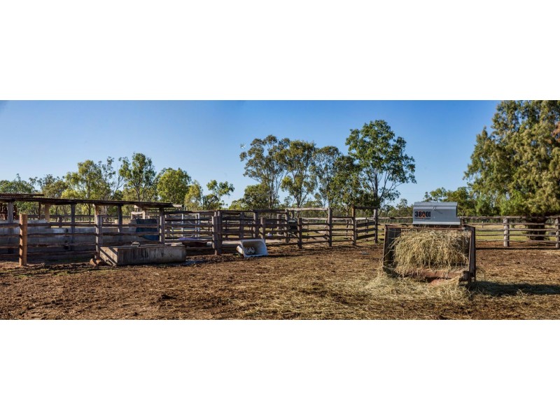 151 Nine Mile Road, Alton Downs QLD 4702