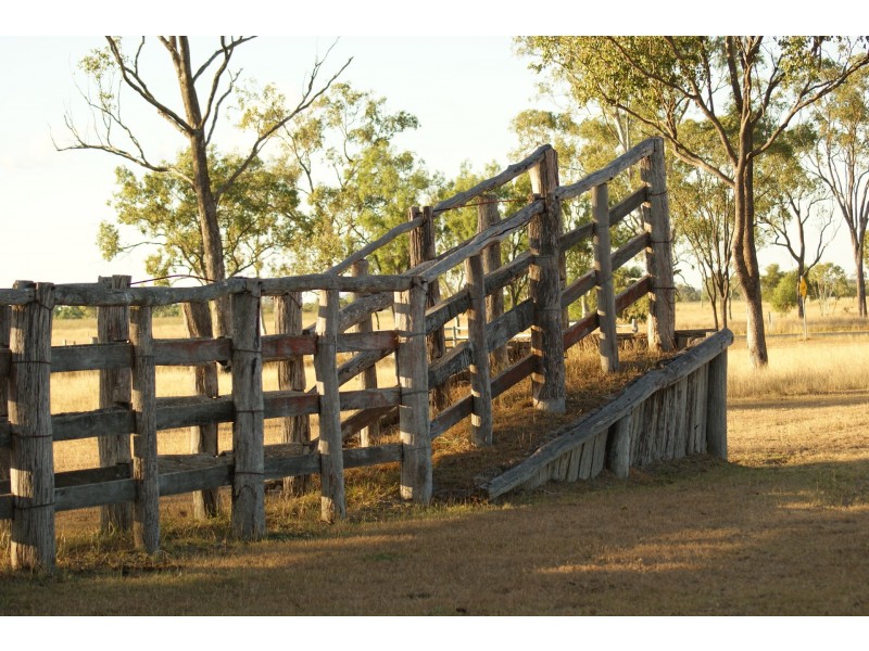 151 Nine Mile Road, Alton Downs QLD 4702