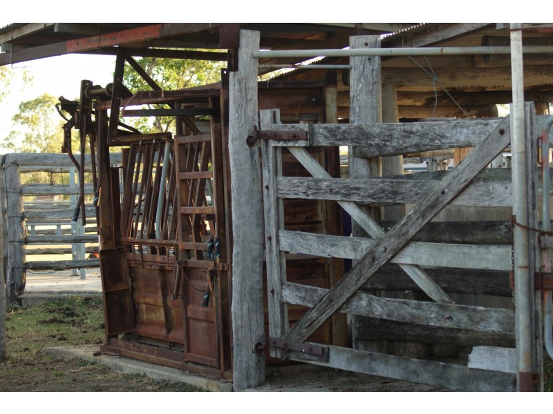 151 Nine Mile Road, Alton Downs QLD 4702