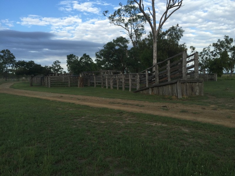 151 Nine Mile Road, Alton Downs QLD 4702