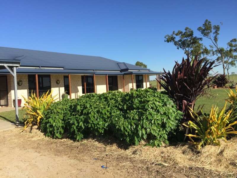 151 Nine Mile Road, Alton Downs QLD 4702
