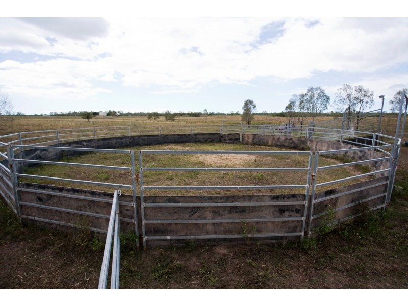 143 Woodbury Dr, South Kolan QLD 4670