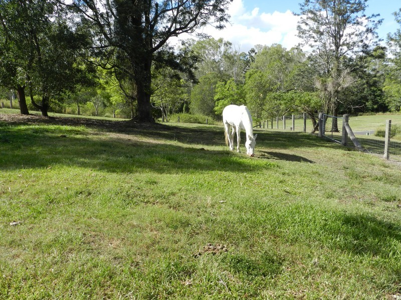 79 Woodward Pl, Pullenvale QLD 4069