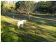 79 Woodward Pl, Pullenvale QLD 4069