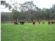 18 Badgers Rd, Kuitpo SA 5172