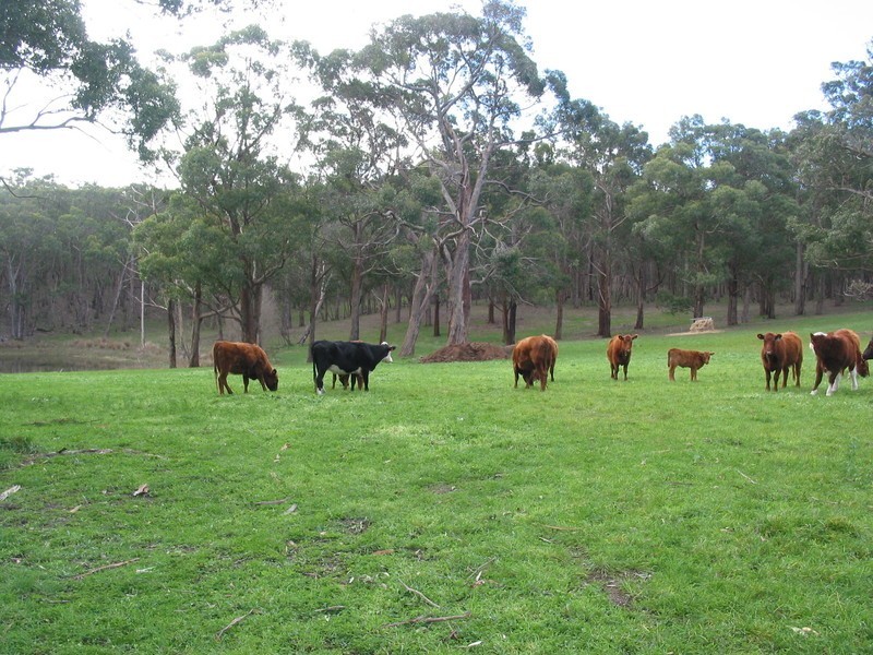 18 Badgers Rd, Kuitpo SA 5172