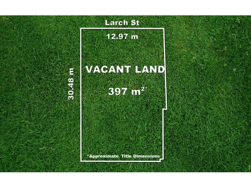 26 Larch St, Caulfield South VIC 3162